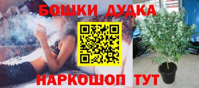 молекула духа Нальчик