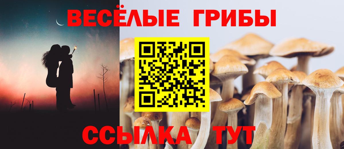 Галлюциногенные грибы ЛСД Шали